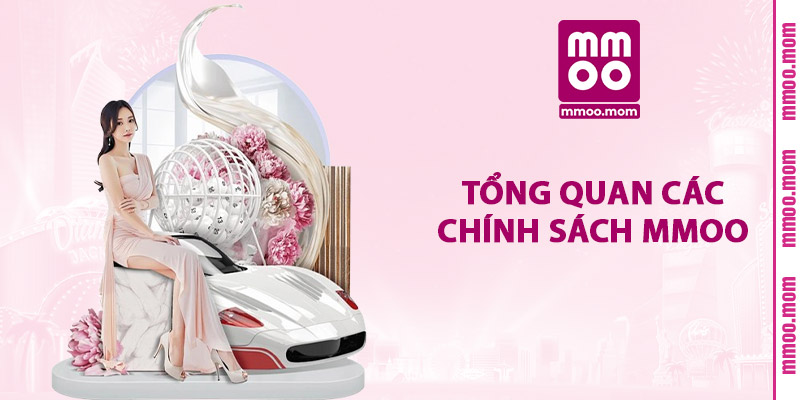 Tổng Quan Các Chính Sách MMOO